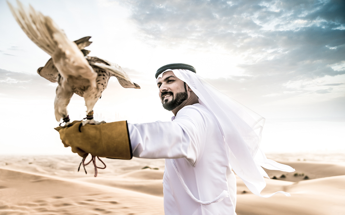 Culture of the United Arab Emirates (2)